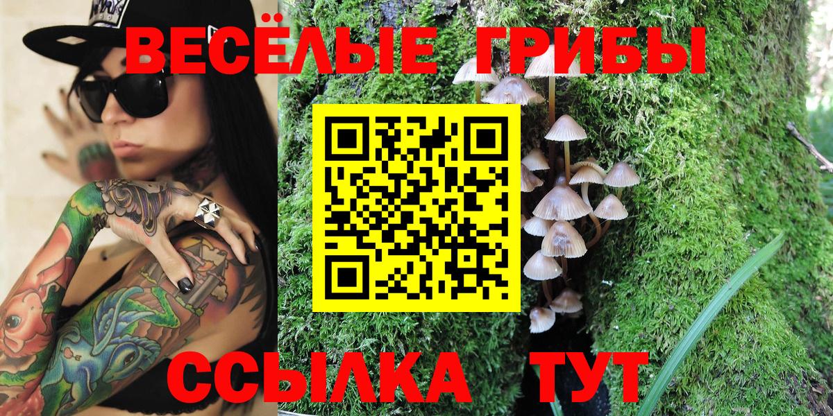 Галлюциногенные грибы GOLDEN TEACHER  Вход с VPN  где продают наркотики  Химки 